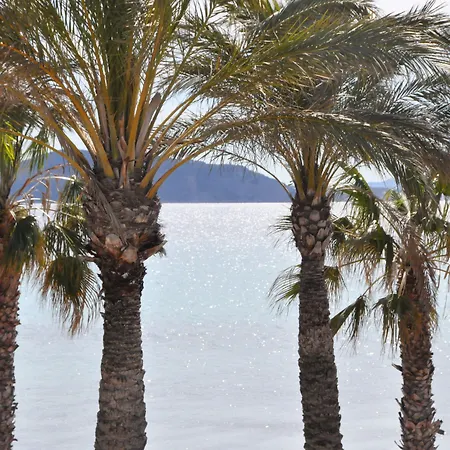 - A Deux Pas De L'eau La Ciotat
