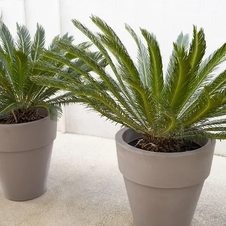 - A Deux Pas De L'eau Apartahotel La Ciotat