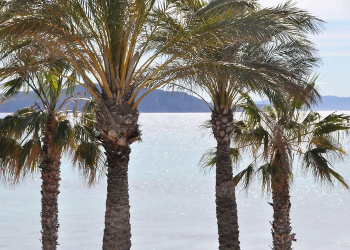 - A Deux Pas De L'eau La Ciotat
